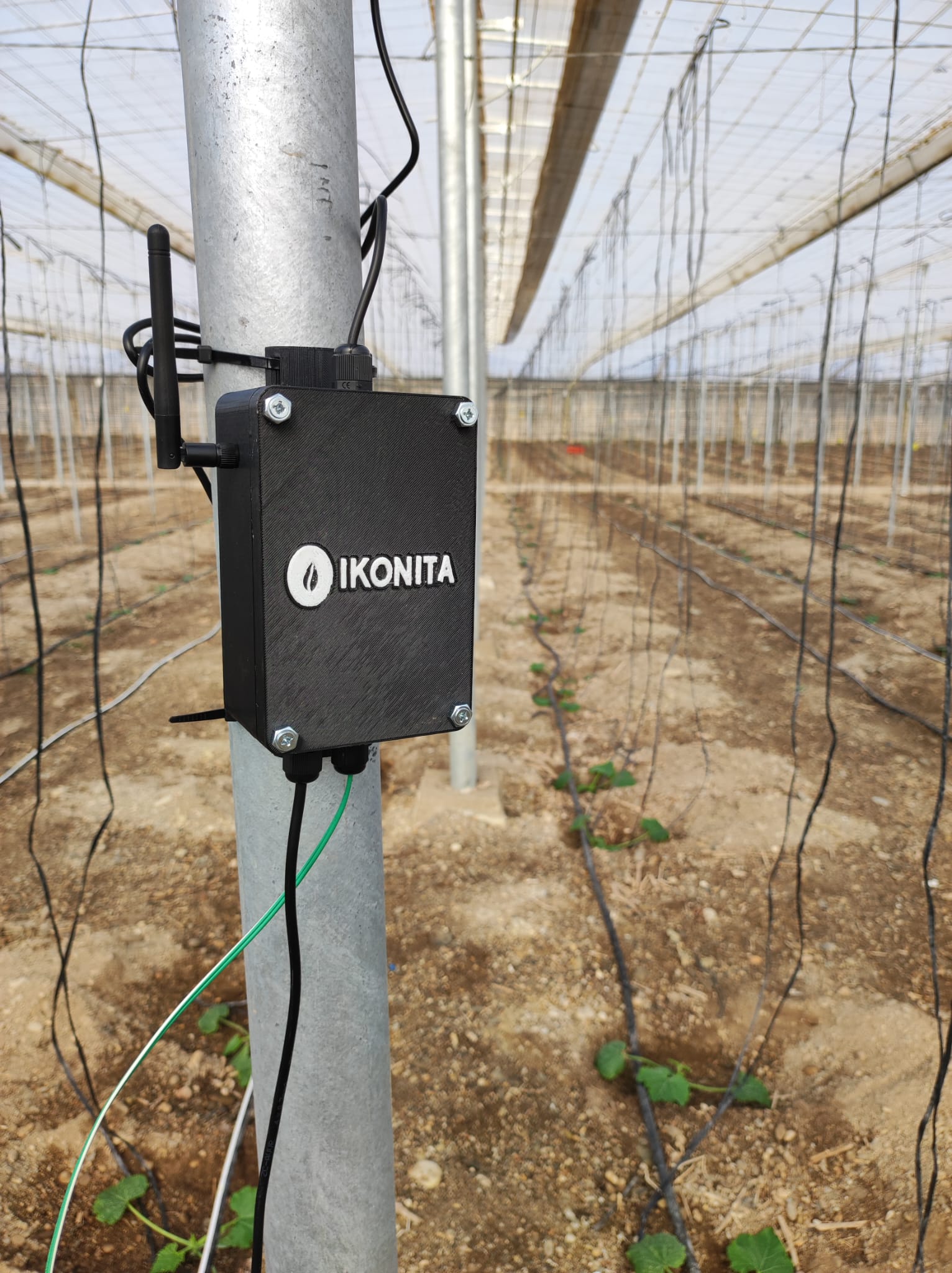 Ikonita Logger