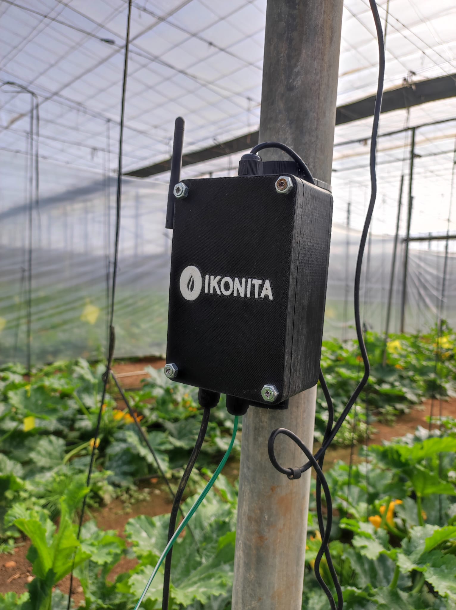 Agricultura